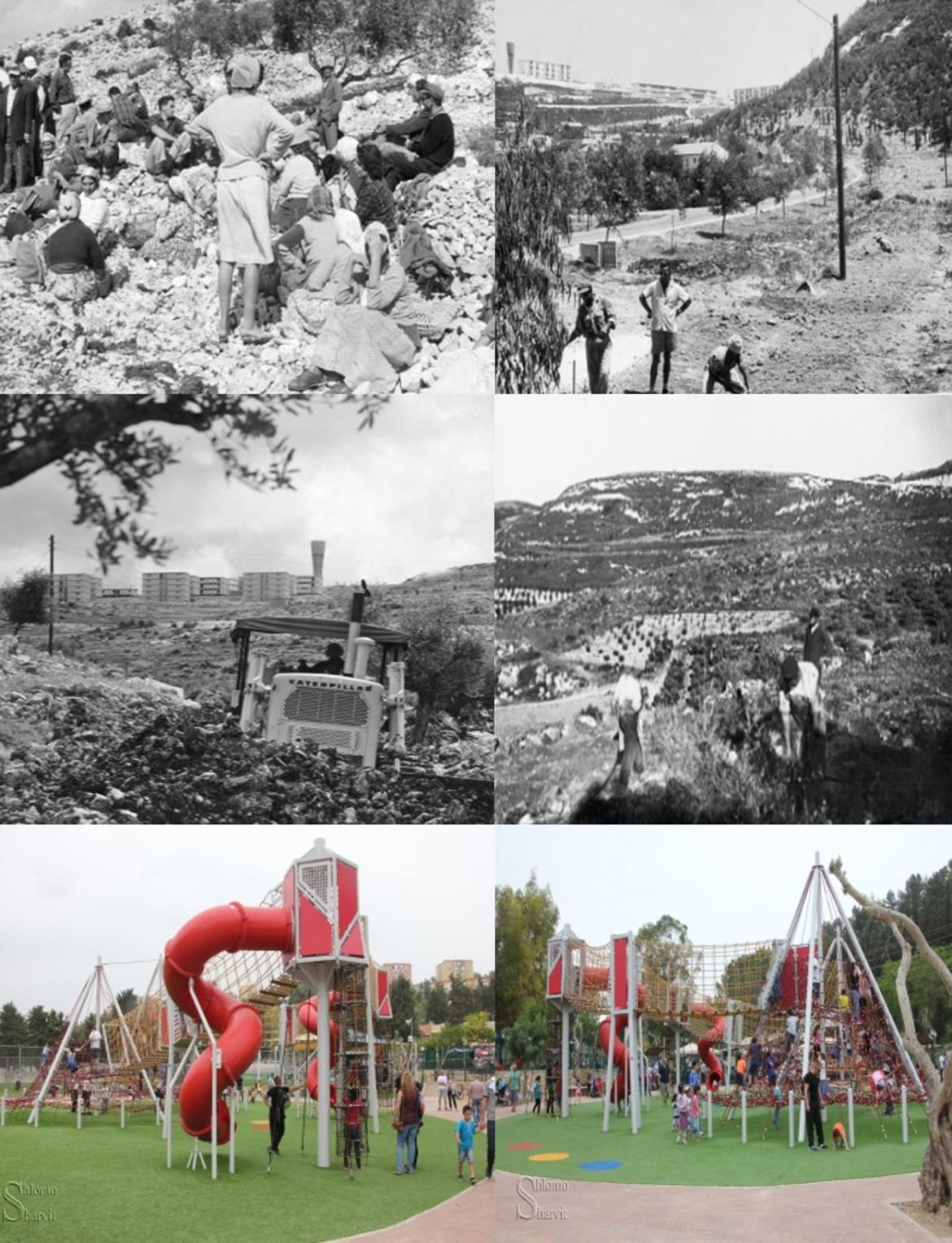 קרן קימת לישראל