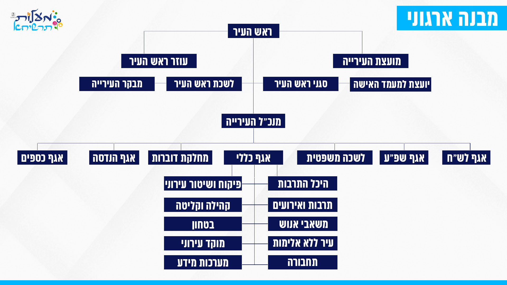 מבנה ארגוני